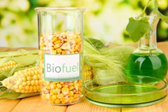 Gatwick biofuel availability